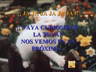¡¡ JA JA JA JA JA JA !! ¡¡ VAYA CURIOSIDAD  LA TUYA!! NOS VEMOS EN LA PRÓXIMA... 
