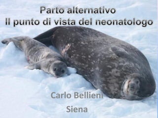 Carlo Bellieni
Siena

 