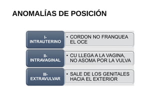 ANOMALÍAS DE POSICIÓN
 