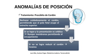 Juan Aller, Gustavo Pages. Obstetricia moderna. Tercera edición
Tratamiento: Procúbito de Cordón
ANOMALÍAS DE POSICIÓN
 