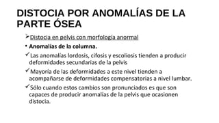 DISTOCIA POR ANOMALÍAS DE LA
PARTE ÓSEA
Distocia en pelvis con morfología anormal
• Anomalías de la columna.
Las anomalías lordosis, cifosis y escoliosis tienden a producir
deformidades secundarias de la pelvis
Mayoría de las deformidades a este nivel tienden a
acompañarse de deformidades compensatorias a nivel lumbar.
Sólo cuando estos cambios son pronunciados es que son
capaces de producir anomalías de la pelvis que ocasionen
distocia.
 