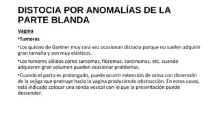 DISTOCIA POR ANOMALÍAS DE LA
PARTE BLANDA
Vagina
•Tumores
•Los quistes de Gartner muy rara vez ocasionan distocia porque no suelen adquirir
gran tamaño y son muy elásticos.
•Los tumores sólidos como sarcomas, fibromas, carcinomas, etc. cuando
adquieren gran volumen pueden ocasionar problemas.
•Cuando el parto es prolongado, puede ocurrir retención de orina con distensión
de la vejiga que protruye hacia la vagina produciendo obstrucción. En estos casos,
está indicado colocar una sonda vesical con lo que la presentación puede
descender.
 