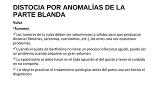 DISTOCIA POR ANOMALÍAS DE LA
PARTE BLANDA
Vulva
•Tumores.
Los tumores de la vulva deben ser voluminosos y sólidos para que produzcan
distocia (fibromas, sarcomas, carcinomas, etc.), los otros rara vez ocasionan
problemas.
Cuando el quiste de Bartholino no tiene un proceso infeccioso agudo, puede ser
un problema cuando adquiere un gran volumen.
La episiotomía se debe hacer en el lado opuesto al del quiste y tener el cuidado
en no romperlo.
 Lo ideal es practicar el tratamiento quirúrgico antes del parto una vez hecho el
diagnóstico
 
