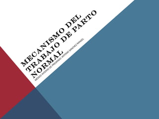MECANISMO DEL 
TRABAJO DE PARTO 
NORMAL 
MÉDICO INTERNO DE PREGRADO: ANTONIO SANCHEZ RANGEL 
 