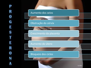 Lactação
Aumento dos seios


Obstrução do cérvix


Crescimento da placenta


Aumento do útero


Bloqueio dos ciclos


                          IL 2011
 
