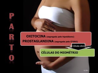 Lactação



  OXITOCINA (segregada pelo hipotálamo)
PROSTAGLANDINA (segregada pelo ÚTERO)
                                     Células alvo


             CÉLULAS DO MIOMÉTRIO




                                                IL 2011
 