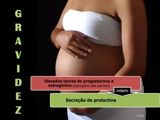 Lactação




Elevados teores de progesterona e
  estrogénios (segregados pela placenta)
                                           inibem

            Secreção de prolactina


                                                    IL 2011
 