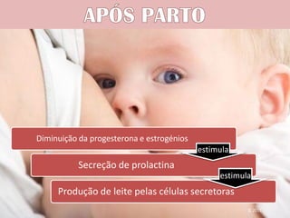 Lactação




Diminuição da progesterona e estrogénios
                                           estimula
           Secreção de prolactina
                                                estimula
     Produção de leite pelas células secretoras
                                                       IL 2011
 