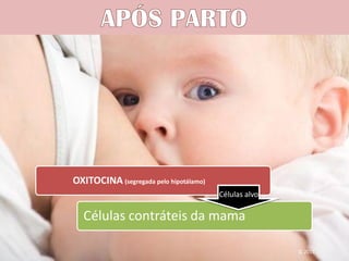 Lactação




OXITOCINA (segregada pelo hipotálamo)
                                        Células alvo

  Células contráteis da mama

                                                       IL 2011
 