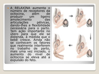  A RELAXINA aumenta o
número de receptores da
ocitocina, além de
produzir um ligeiro
amolecimento das
articulações pélvicas,
dando-lhes a flexibilidade
necessária para o parto.
Tem ação importante no
útero para que ele se
distenda, à medida que o
bebê cresce. Ainda não
se conhecem os fatores
que realmente interferem
no trabalho de parto,
mais uma vez iniciado, o
aumento do nível de
ocitocina se eleva até a
expulsão do feto.
 