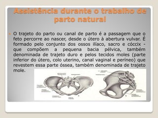Assistência durante o trabalho de
parto natural
 O trajeto do parto ou canal de parto é a passagem que o
feto percorre ao nascer, desde o útero à abertura vulvar. É
formado pelo conjunto dos ossos ilíaco, sacro e cóccix -
que compõem a pequena bacia pélvica, também
denominada de trajeto duro e pelos tecidos moles (parte
inferior do útero, colo uterino, canal vaginal e períneo) que
revestem essa parte óssea, também denominada de trajeto
mole.
 
