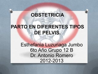 OBSTETRICIA

PARTO EN DIFERENTES TIPOS
        DE PELVIS.

   Esthefania Luzuriaga Jumbo
       6to Año Grupo 12 B
       Dr. Antonio Romero
            2012-2013
 