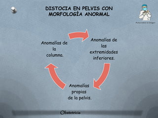 DISTOCIA EN PELVIS CON
  MORFOLOGÍA ANORMAL




                           Anomalías de
Anomalías de
                                las
     la
                           extremidades
  columna.
                            inferiores.




               Anomalías
                 propias
               de la pelvis.


        Obstetricia
 