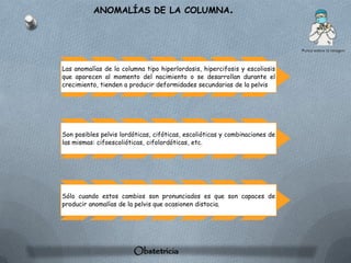 ANOMALÍAS DE LA COLUMNA.




Las anomalías de la columna tipo hiperlordosis, hipercifosis y escoliosis
que aparecen al momento del nacimiento o se desarrollan durante el
crecimiento, tienden a producir deformidades secundarias de la pelvis




Son posibles pelvis lordóticas, cifóticas, escolióticas y combinaciones de
las mismas: cifoescolióticas, cifolordóticas, etc.




Sólo cuando estos cambios son pronunciados es que son capaces de
producir anomalías de la pelvis que ocasionen distocia.




                        Obstetricia
 