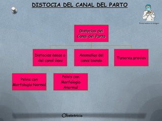 DISTOCIA DEL CANAL DEL PARTO



                                   Distocias del
                                  Canal del Parto



           Distocias óseas o       Anomalías del
                                                    Tumores previos
             del canal óseo        canal blando



                         Pelvis con
   Pelvis con
                         Morfología
Morfología Normal
                          Anormal




                          Obstetricia
 