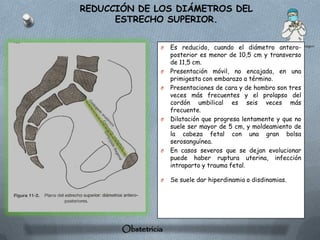 REDUCCIÓN DE LOS DIÁMETROS DEL
      ESTRECHO SUPERIOR.


                 O   Es reducido, cuando el diámetro antero-
                     posterior es menor de 10,5 cm y transverso
                     de 11,5 cm.
                 O   Presentación móvil, no encajada, en una
                     primigesta con embarazo a término.
                 O   Presentaciones de cara y de hombro son tres
                     veces más frecuentes y el prolapso del
                     cordón umbilical es seis veces más
                     frecuente.
                 O   Dilatación que progresa lentamente y que no
                     suele ser mayor de 5 cm, y moldeamiento de
                     la cabeza fetal con una gran bolsa
                     serosanguínea.
                 O   En casos severos que se dejan evolucionar
                     puede haber ruptura uterina, infección
                     intraparto y trauma fetal.

                 O   Se suele dar hiperdinamia o disdinamias.




       Obstetricia
 