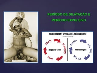 PERÍODO DE DILATAÇÃO E
PERÍODO EXPULSIVO
 