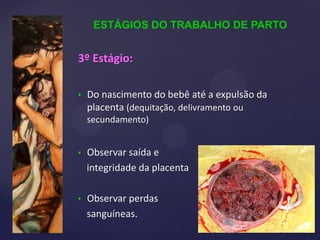 3º Estágio:
• Do nascimento do bebê até a expulsão da
placenta (dequitação, delivramento ou
secundamento)
• Observar saída e
integridade da placenta
• Observar perdas
sanguíneas.
ESTÁGIOS DO TRABALHO DE PARTO
 