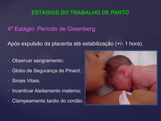 4º Estágio: Período de Greenberg
Após expulsão da placenta até estabilização (+/- 1 hora).
• Observar sangramento;
• Globo de Segurança de Pinard;
• Sinais Vitais;
• Incentivar Aleitamento materno;
• Clampeamento tardio do cordão.
ESTÁGIOS DO TRABALHO DE PARTO
 