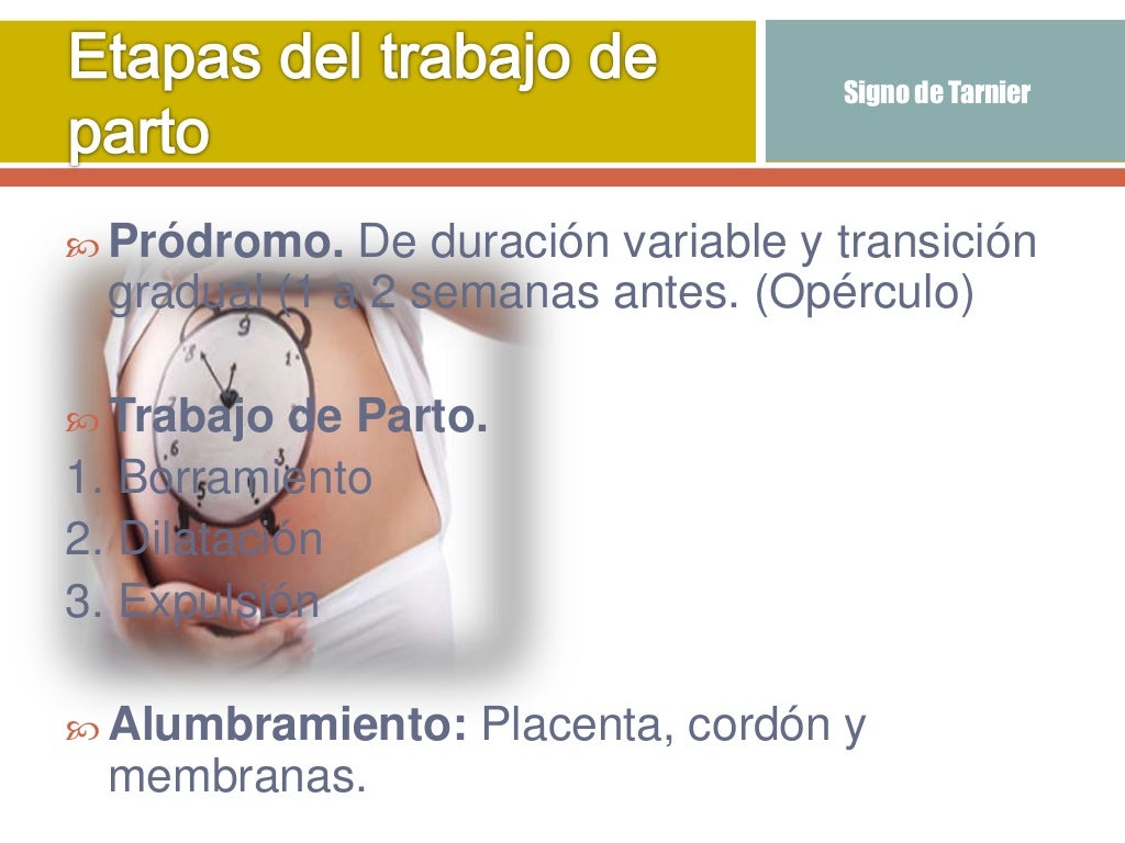 Que Es Un Parto Eutócico Parto eutócico