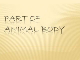 PART OF 
ANIMAL BODY 
 