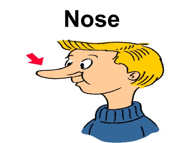 Featured image of post Body Parts Nose Cartoon : Download 141 cartoon body parts free vectors.