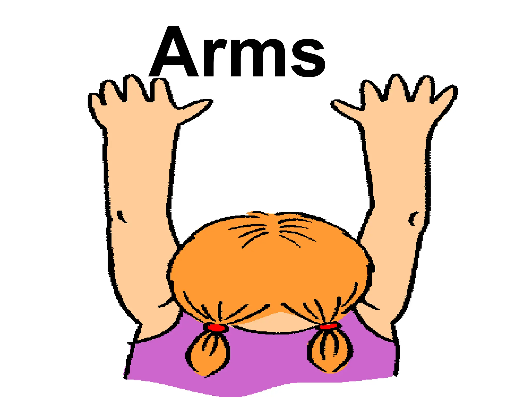 Arms