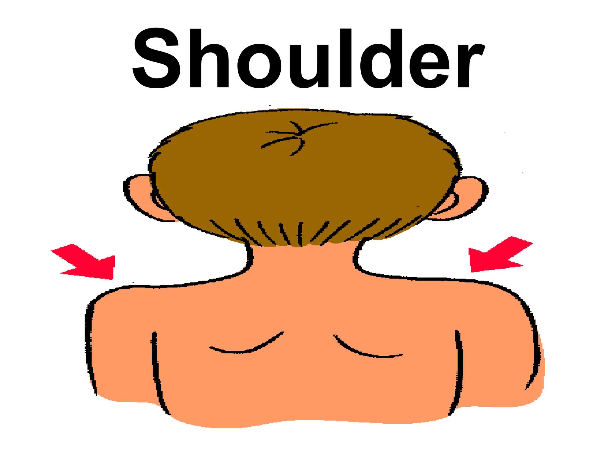 Shoulder
