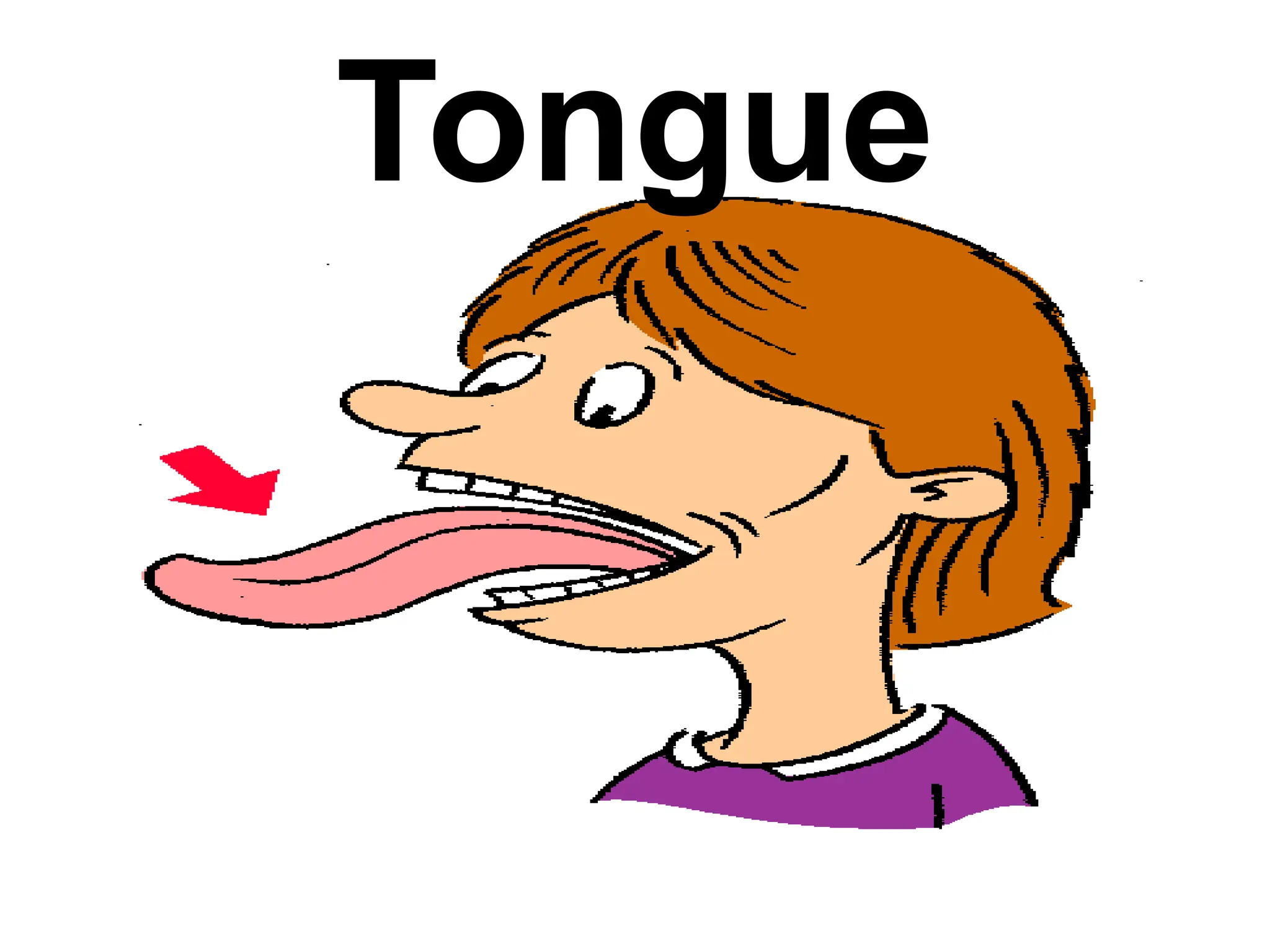 Tongue