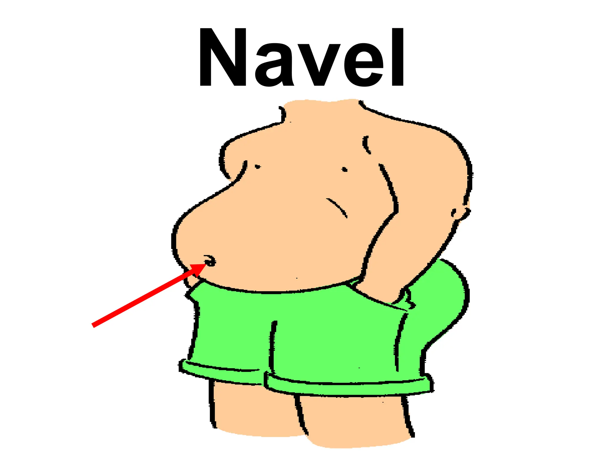 Navel