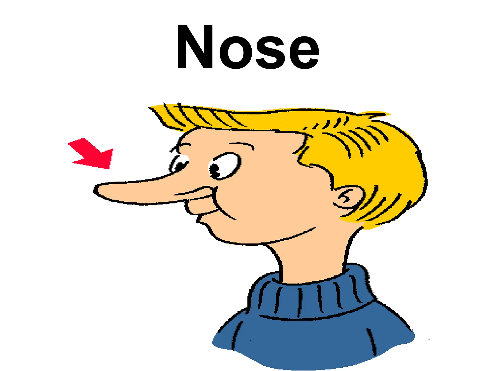 Nose