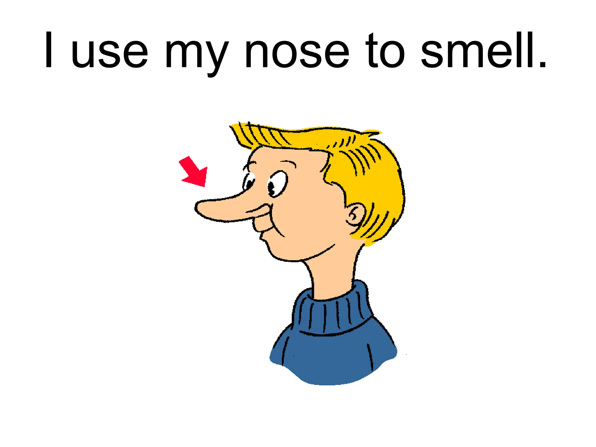 I use my nose to smell.