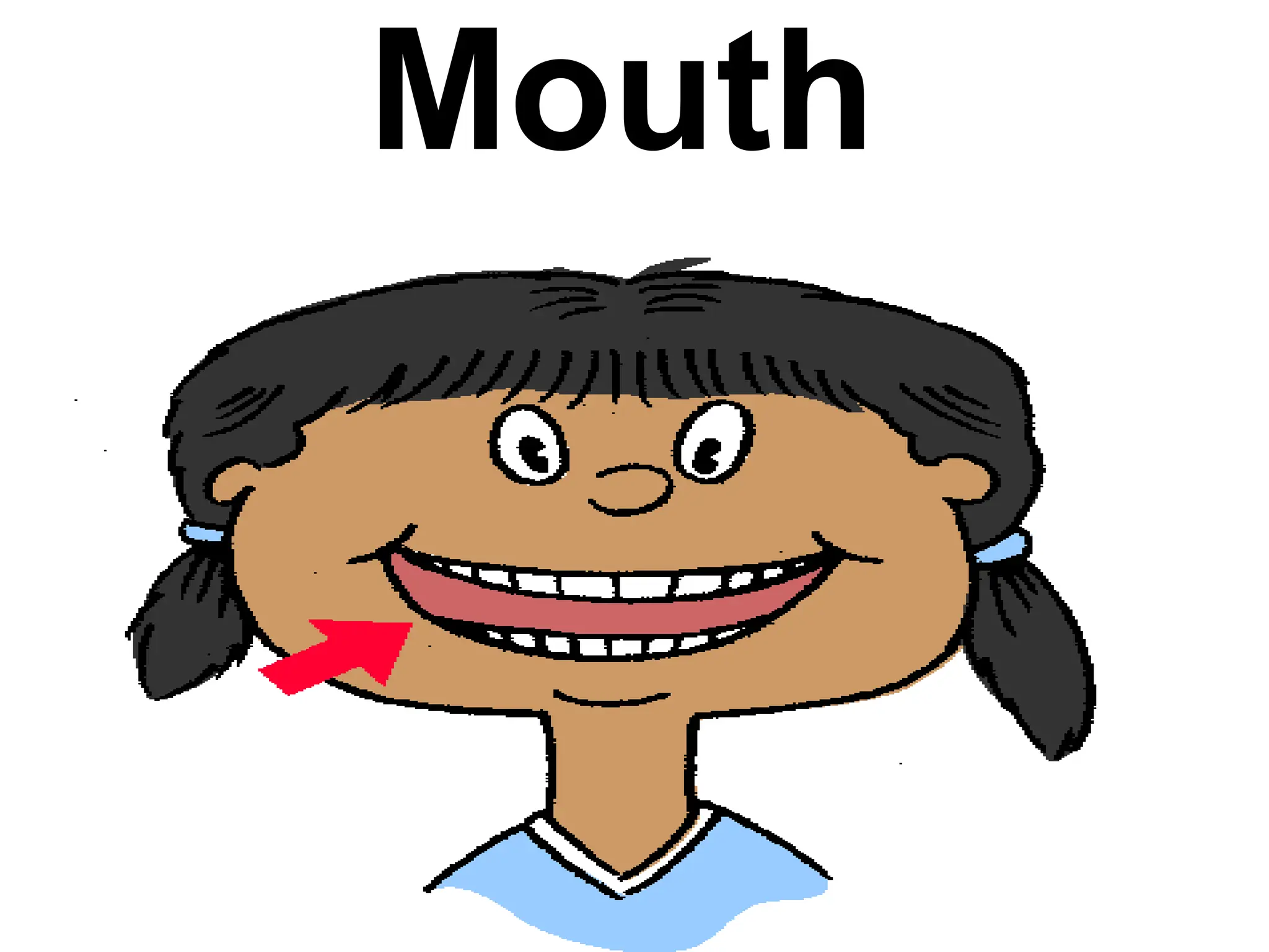 Mouth