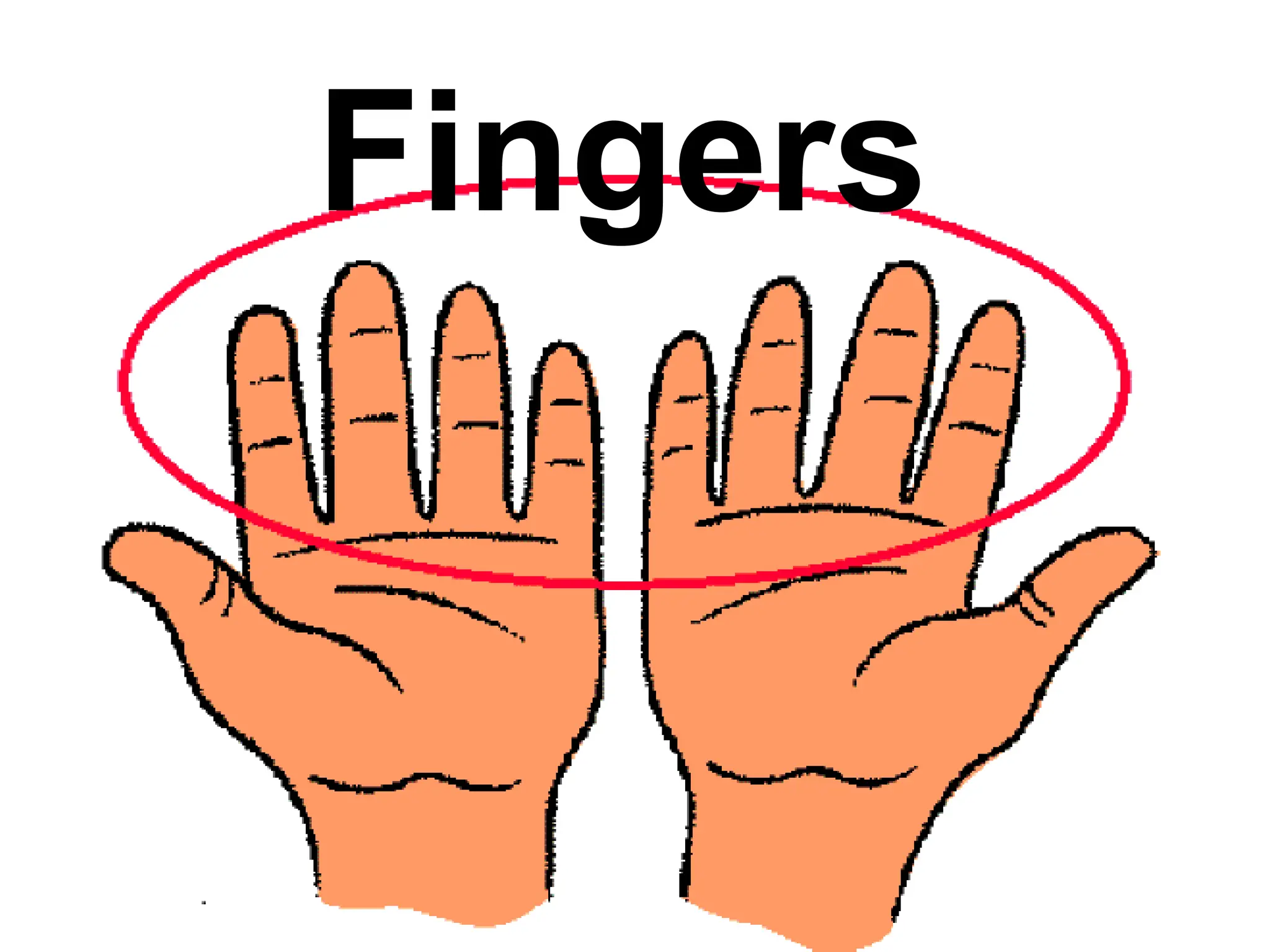 Fingers