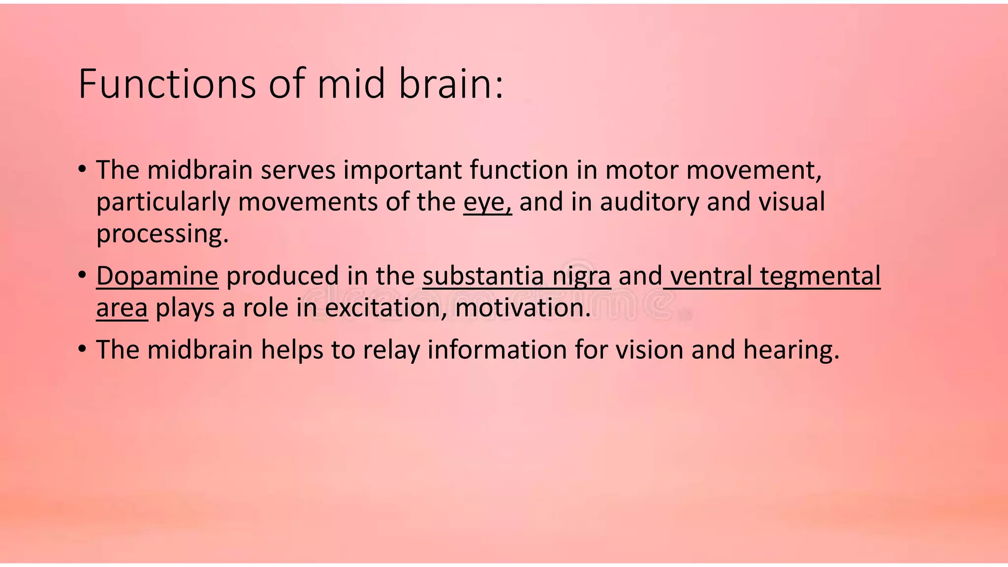 Part of brain group 45 emelin anatomy | PPTX