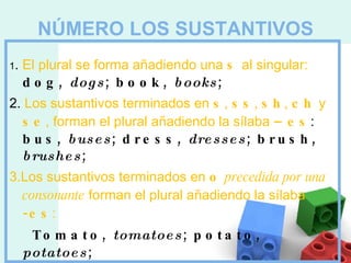 NÚMERO LOS SUSTANTIVOS 1 .  El plural se forma añadiendo una  s  al singular:   dog,  dogs ; book,  books ;  2.  Los sustantivos terminados en  s ,  ss ,  sh ,  ch  y  se , forman el plural añadiendo la sílaba  –es :   bus,  buses ; dress,  dresses ; brush,  brushes ;  3. Los sustantivos terminados en  o   precedida por una consonante  forman el plural añadiendo la sílaba  -es : Tomato,  tomatoes ; potato,  potatoes ;  