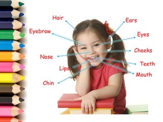 Eyes
Cheeks
Nose
Ears
Teeth
Mouth
Hair
Chin
Lips
Eyebrow
 