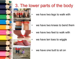 3. The lower parts of the body
• we have two legs to walk with
• we have ten toes to wiggle
• we have one butt to sit on
Legs
Knees
• we have two knees to bend them
• we have two feet to walk with
Feet
Toes
Butt
 