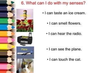 6. What can I do with my senses?
• I can taste an ice cream.
• I can smell flowers.
• I can hear the radio.
• I can see the plane.
• I can touch the cat.
Ice cream
Flowers
Radio
Plane
Cat
 