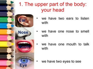 1. The upper part of the body:
your head
Ear
Nose
Mouth
Eye
• we have two ears to listen
with
• we
with
have one nose to smell
• we
with
have one mouth to talk
• we have two eyes to see
 