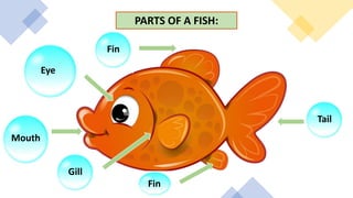 PARTS OF A FISH:
Eye
Mouth
Fin
Fin
Gill
Tail
 