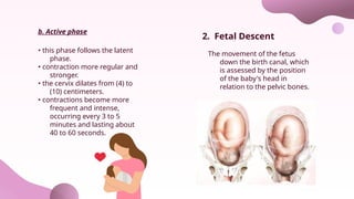 b. Active phase
• this phase follows the latent
phase.
• contraction more regular and
stronger.
• the cervix dilates from (4) to
(10) centimeters.
• contractions become more
frequent and intense,
occurring every 3 to 5
minutes and lasting about
40 to 60 seconds.
The movement of the fetus
down the birth canal, which
is assessed by the position
of the baby's head in
relation to the pelvic bones.
2. Fetal Descent
 