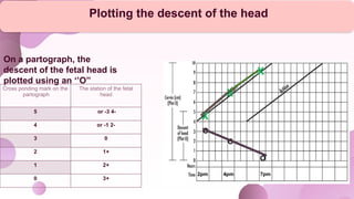 On a partograph, the
descent of the fetal head is
plotted using an ‘’O’’
Cross ponding mark on the
partograph
The station of the fetal
head
5 -
4
or -3
4 -
2
or -1
3 0
2 +
1
1 +
2
0 +
3
Plotting the descent of the head
2pm 4pm 7pm
X
X
X
O
O
O
 