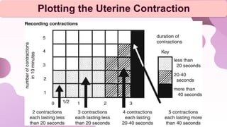 Plotting the Uterine Contraction
 