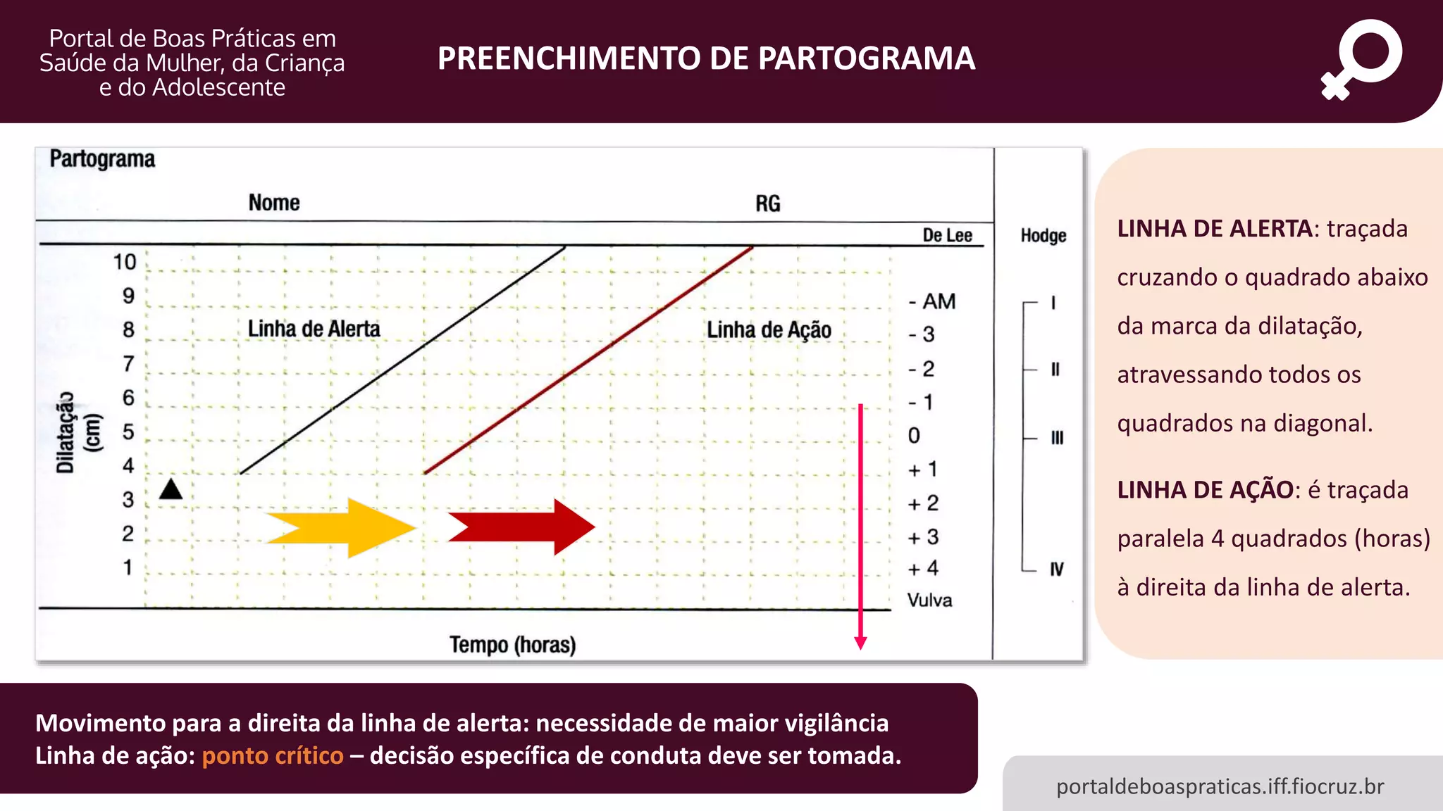 Slide 10