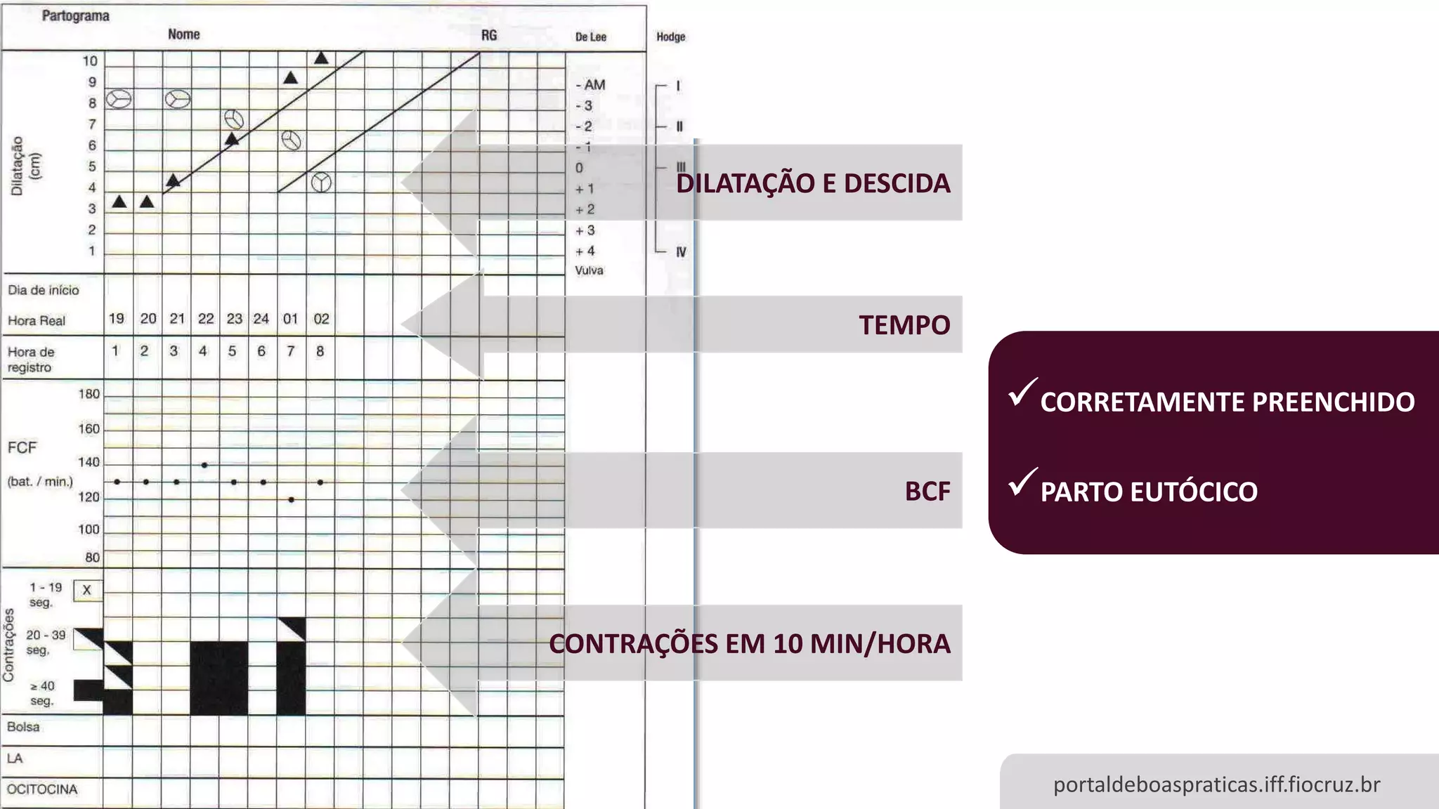Slide 12