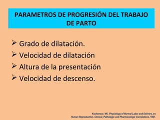 PARAMETROS DE PROGRESIÓN DEL TRABAJO
DE PARTO
 Grado de dilatación.
 Velocidad de dilatación
 Altura de la presentación
 Velocidad de descenso.
Kochenour, NK. Physiology of Normal Labor and Delivery, en
Human Reproduction. Clinical, Pathologic and Pharmacologic Correlations. 1997.
 
