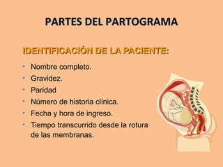 PARTES DEL PARTOGRAMAPARTES DEL PARTOGRAMA
IDENTIFICACIÓN DE LA PACIENTE:IDENTIFICACIÓN DE LA PACIENTE:
• Nombre completo.
• Gravidez.
• Paridad
• Número de historia clínica.
• Fecha y hora de ingreso.
• Tiempo transcurrido desde la rotura
de las membranas.
 