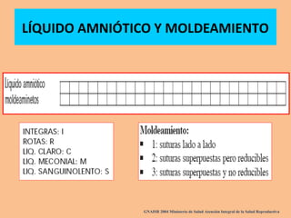 LÍQUIDO AMNIÓTICO Y MOLDEAMIENTO
GNAISR 2004 Ministerio de Salud Atención Integral de la Salud Reproductiva
 