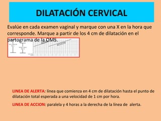 DILATACIÓN CERVICAL
Evalúe en cada examen vaginal y marque con una X en la hora que
corresponde. Marque a partir de los 4 cm de dilatación en el
partograma de la OMS.
LINEA DE ALERTA: línea que comienza en 4 cm de dilatación hasta el punto de
dilatación total esperada a una velocidad de 1 cm por hora.
LINEA DE ACCION: paralela y 4 horas a la derecha de la línea de alerta.
 
